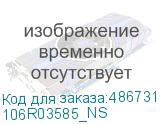 106R03585_NS