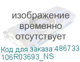 106R03693_NS