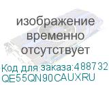 QE55QN90CAUXRU
