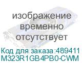 M323R1GB4PB0-CWM