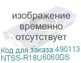 NTSS-R18U6060GS