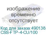 CSS-FTP-4-CU/100