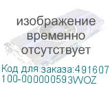 100-000000593WOZ