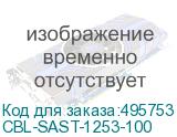 CBL-SAST-1253-100