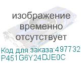 P451G6Y24DJE0C