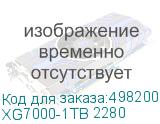 XG7000-1TB 2280