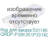 QRDP-P30K301P3318C125L02NLNKTNN3.