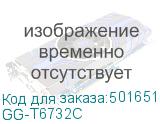 GG-T6732C