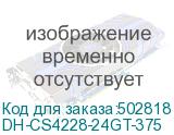 DH-CS4228-24GT-375
