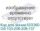 GS-103-208-208-137