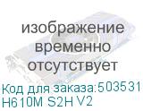 H610M S2H V2
