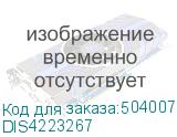 DIS4223267