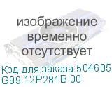 G99.12P281B.00