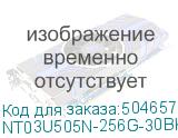 NT03U505N-256G-30BK