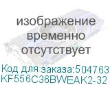 KF556C36BWEAK2-32
