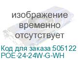 POE-24-24W-G-WH