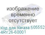 4RY26-60001