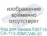 CA-1Y3-00MCWN-01