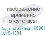 DWS-1001
