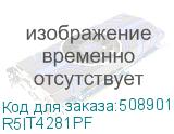R5IT4281PF