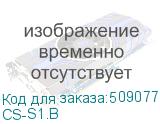 CS-S1.B