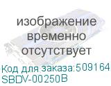 SBDV-00250B
