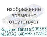M393A2K40EB3-CWECO