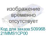 21MMS1CP00
