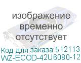 WZ-ECOD-42U6080-12AA-01-0000-011