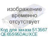 QE65S95DAUXCE