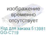 GG-C719