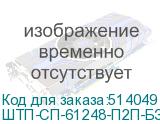 ШТП-СП-61248-П2П-БЗ-10