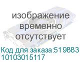 10103015117