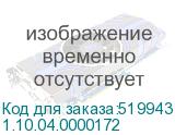 1.10.04.0000172