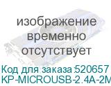 KP-MICROUSB-2.4A-2M