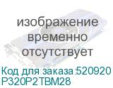 P320P2TBM28