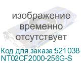 NT02CF2000-256G-S