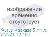 YNN21-12-100
