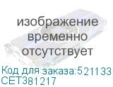 CET381217
