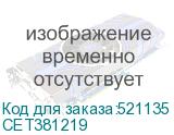 CET381219