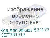 CET381213