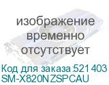 SM-X820NZSPCAU