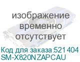 SM-X820NZAPCAU