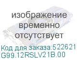G99.12RSLV21B.00