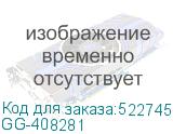GG-408281