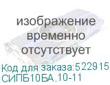 СИПБ10БА.10-11