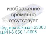 ШРН-6.650.1-9005