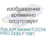 PRO Z890-P WIFI