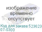 07-0300