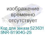 SNR-S1904G-2S